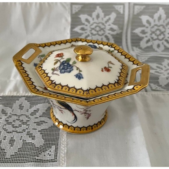 Dining Vintage 192s Theodore Haviland Limoges France Eden Covered